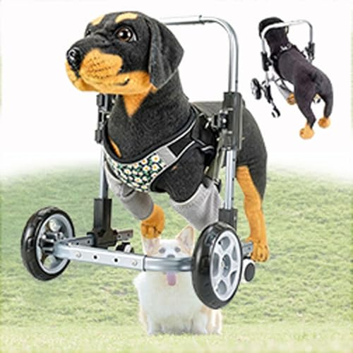 Sedia a rotelle per Cani per Zampe Anteriori, carrelli Regolabili per Cani con Ruote, Sedia a rotelle Leggera per Animali Domestici, ausili per la Mobilità del Cane Durante Le Passeggiate, t