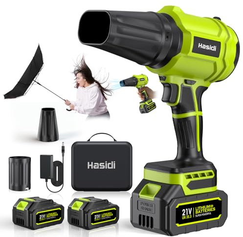 Soffiatore a Batteria, 900.000 RPM, Soffiatore Foglie Elettrico Completo di 2 Batterie, Caricabatterie e 2 Ugelli, per Giardino, Cortile, Auto e Rimozione Neve, Verde