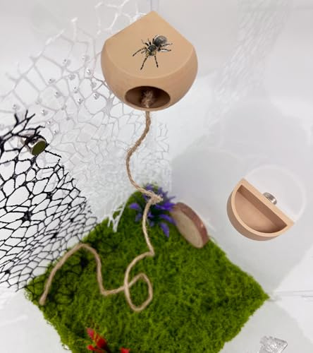 Cachette d'araignée sauteuse avec aimants et gamelle - Accessoires pour Animaux domestiques - Cachette pour Habitat d'araignée (Beige) (Terrarium Non Inclus)