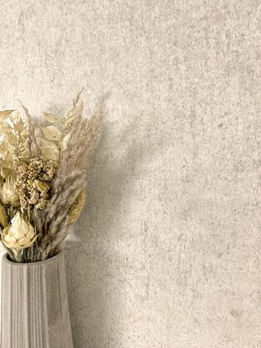 NEWROOM Papier peint Taupe Béton Intissé - Moderne Beige Couleur Unie Texture Industriel