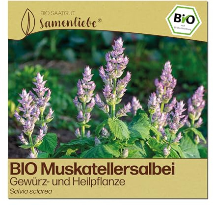 Samenliebe BIO Muskatellersalbei Samen | Salbei - Heilpflanze - winterhart - samenfestes BIO Saatgut