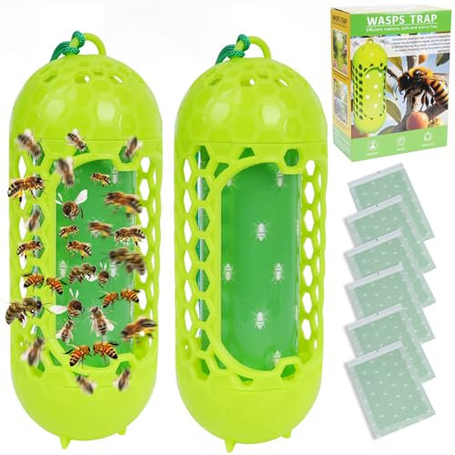 2 Pack Wasp Trap Waterproof, Reusable Fruit Fly Trap with Other 6PCS Replaceable Sticky Boards, Non-toxic Lightweight Wasps Catcher, Reusable Fly Catcher Bee Killer for indoor and outdoor