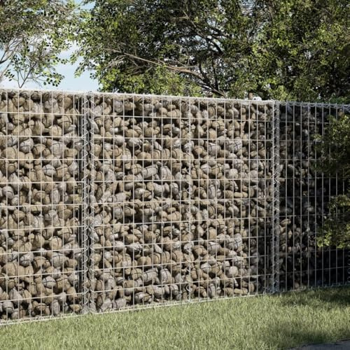 Frdhee Planteur de jardin, parterre de fleurs, gabion avec couvercle, 100 x 50 x 100 cm, en fer galvanisé, pour jardinerie, balcon, terrasse, jardin d'hiver
