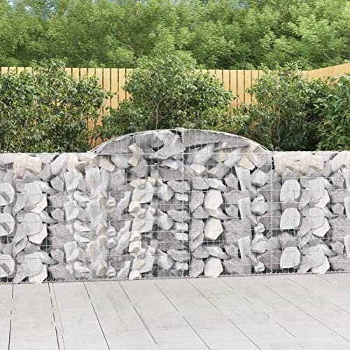Iiaky Cestas de gaviones 12 uds Forma Arco Hierro 300x30x100/120 cm Huerto Urbano