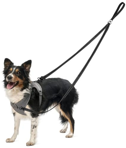 Laisse Anti-Traction pour Chien à Double Attache avec Clip Rotatif 360°, Laisse Réfléchissante pour Contrôle, Dressage et Promenade, Confortable et Ajustable pour Chiens Moyens et Grands (Noir)