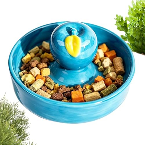 Duvcoywae per Tartarughe | In Ceramica Antiribaltamento,Vasca Acqua | Per Lucertole, Tartarughe, Camaleonti, Paguri, Granchi, Rane, Lumache, Terrario