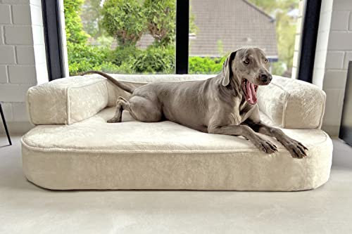 tierlando® Orthopädisches Hundesofa Sharleen VISCO Plus Hundebett kuscheliger Teddystoff Größe: 120x90cm | Farbe: 05 Creme