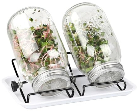 Generiskt groddar glasuppsättning – jordlös groddodlingsbehållare | enkel, hygienisk broccoli-odlingsglas – för vegetariskt , lägenhet, skafferi, kontor, fönsterbräda,