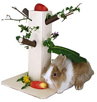 Unbekannt 10520 Knabberbaum Futterspender Futterbaum Nagerkäfig