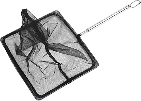 Rete da pesca telescopica in acciaio inossidabile per acquari a cinque sezioni in acciaio inox da 20 x 15 cm