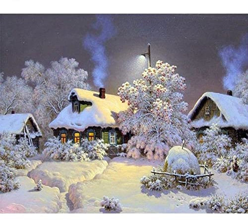 40 * 50 cm tableau de peinture par chiffres sur mur de toile sans cadre Peinture à l'huile par chiffres Kits Set for adultes, enfants, débutants avec pinceaux décoration murale maison ( Color : O )