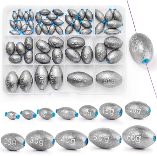 VEPEPE 55 Stück Angelgewichte Bleie Kit 12 Größen Plastikkern Gewichte Angeln Sinker 2g-60g Laufblei Zubehör Grundblei für Tiefwasser Meeres Angeln (55, 12 Größen, Eiform)