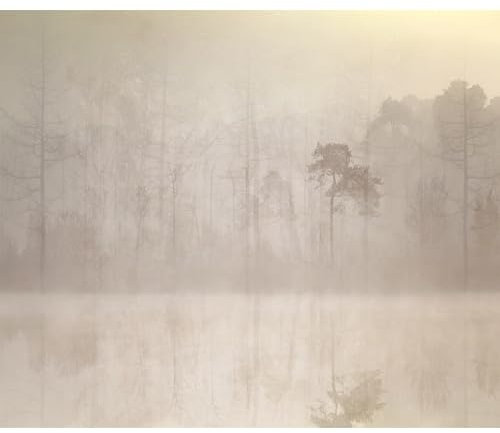 decomonkey Fototapete Wald Vintage 400x280 cm Design Tapete XXL Fototapeten Vlies Tapeten Vliestapete Wandtapete moderne Wand Schlafzimmer Wohnzimmer Landschaft See Baum Nebel Beige Grau