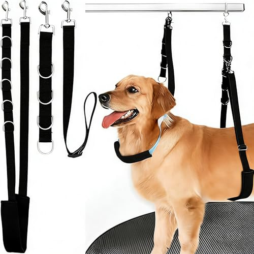 SQAQS 3PCS Imbracatura per Toelettatura per Cani e Cani per Animali Domestici, in Nylon, Guinzaglio Regolabile con Anelli a D, Imbracatura Elastica per Toelettatura di Animali Domestici (Nero)
