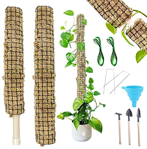 Monstera - Bastone impilabile per muschio autoirrigante per arrampicata - Bastone di muschio di sfagno per orchidee Monstera fiori piante in vaso pali e supporti Abonda