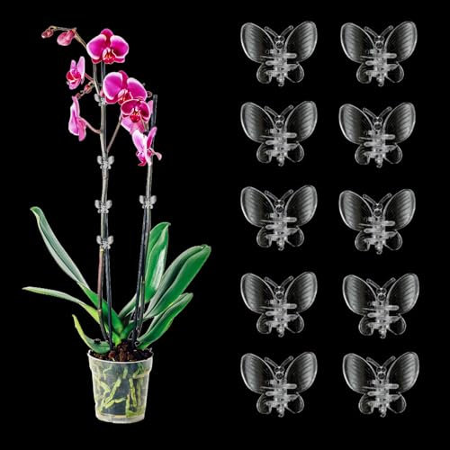 ACAREY 10 Stück Orchideen Klammern Pflanzenclips, Transparent Pflanzenklammern, 3.5cm Garten Pflanzen Clips, Pflanzen Klammern für Unterstützen und Halten Pflanze (Schmetterling×10)