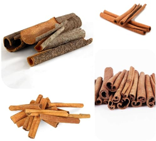 canela - de cobertura del suelo semillas de canela cultivo jardín decoraciones otoñales, verdes sostenibles jardín rocas orgánicas cubrir 70semillas