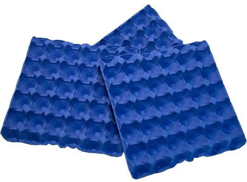 HOME CENTRE Egg Boxes Trays 10 Pieces Box Holds 30 Eggs Recyclable Biodegradable Cardboard Blue