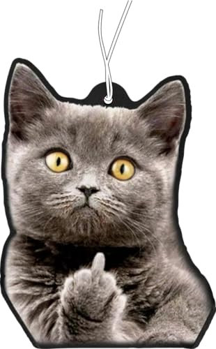 2 x albero profumato con gatto raffigurante dito medio, distributore di profumo auto, deodorante per auto, deodorante per auto, deodorante, ciondolo profumato auto