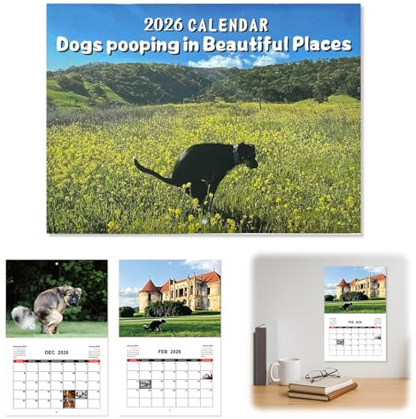 CHIHOLEN Calendrier mural 2026 avec chiens faisant dans de beaux endroits, calendrier mural amusant pour les anniversaires, Noël