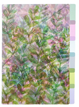 S-TROUBLE A5 A6 A7 Catoon Clear Divider Index Pages Trieuse classée pour classeur à 6 Trous
