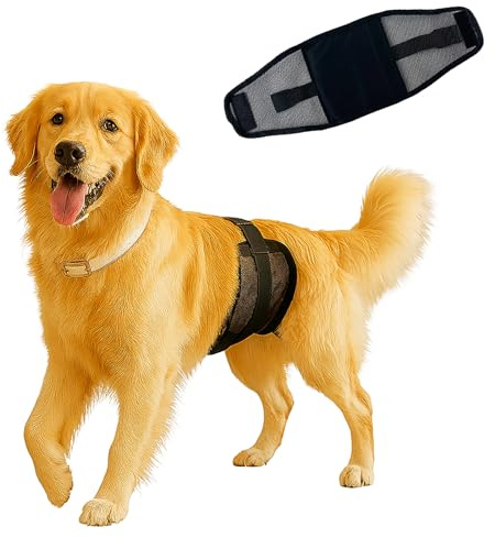 Colenumone Couches pour Chiens Mâles,Couches pour Chiens,Couche Chien Male Incontinent,Super Absorbant,Etanchéité,Miction excitée, Chaleur, Problèmes de marquage（XS）