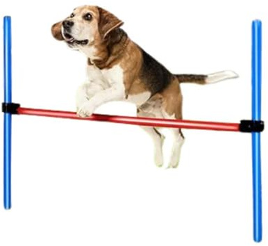 ZOOPIZ Kit Agility para Perros – Curso completo con setos, Slalom, túnel y aros – Obstáculos ajustables, Fácil de transportar – Entrenamiento, Deporte y Estimulación Mental