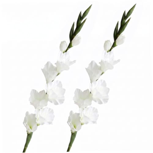 Hilai 2 st vita konstgjorda blommor med gladiolus, 83 cm (33 tum) konstgjorda blommor inomhus för bröllop, hemmafest, blomsterarrangemang, bordsuppsats, bordsdekor