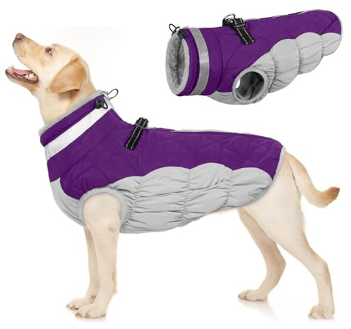 Hundejacke Mittelgroße Hunde, Wintermantel Hund Hundemantel für Mittlere Hunde Hundekleidung Winter Hunde Klamotten(Lila, M)