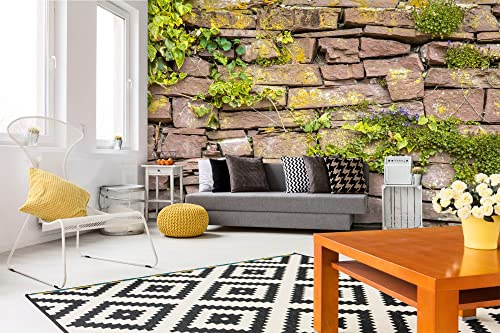 DIMEX LINE Non-Woven Photo Wallpaper WALL with Plants 375 x 250 cm - Non-Woven Wallpaper, wall Mural, wall Pictures - Wallpaper for Living Room, Bedroom, Office, Kitchen