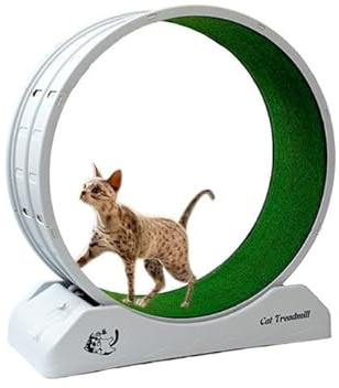 FluffyFavPets Roue d'exercice interactive pour chat Blanc avec bande de roulement verte