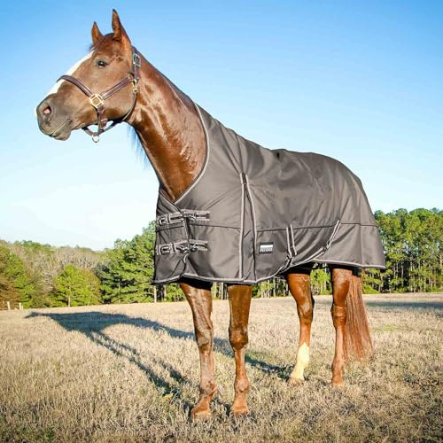 Jeffers Poplar Head Defense 1680 Denier Turnout Blanket with Extended Neck Design, Plymouth Brown 78- 240g Polyfill, Waterproof, Breathable Horse Blanket, Ideal Protection for Winter, Medium Weight