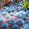 Welldales 50 Fescue Blue Grass Seeds Dwarf Self Seeding Ornamental Evergreen Garden Shrubs
