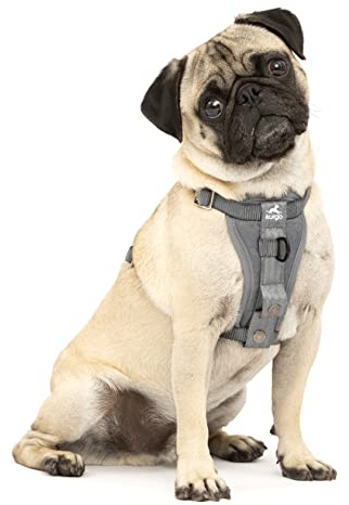 Kurgo Tru-Fit Harnais de sécurité pour Voiture pour Chiens, avec Plastron rembourré et Anneau en D, avec Ceinture de sécurité pour Voiture, Taille XS, Anthracite