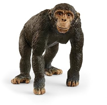 schleich WILD Life | Schimpanse 14883 | detailgetreue Tierfiguren | Zoo Spielzeug | tolles Geschenk für Jungen und Mädchen | Deko für Geburtstag | Spielfigur ab 3 Jahren | 9 x 5 x 7 cm