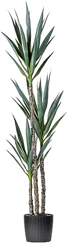 Vickerman Everyday Green Yucca Triple Stem Tree 60 Tall - Silk Artificial Indoor Plant - Multi Purpose Tropical Decoration for Home Office Living Room Decor