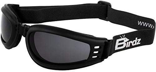 Birdz Eyewear Cardinal Padded Floating Motorcycle Goggles Black Folding Frame with Clear Lenses