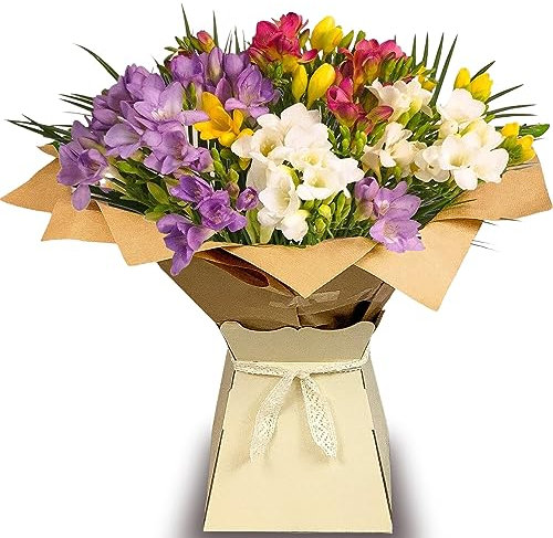Just Freesia Flower Bouquet- Beautiful Fresh Freesia Flowers Delivered Next Day Prime Delivery | Perfect for Birthdays, Anniversaries, and Thank You Gifts