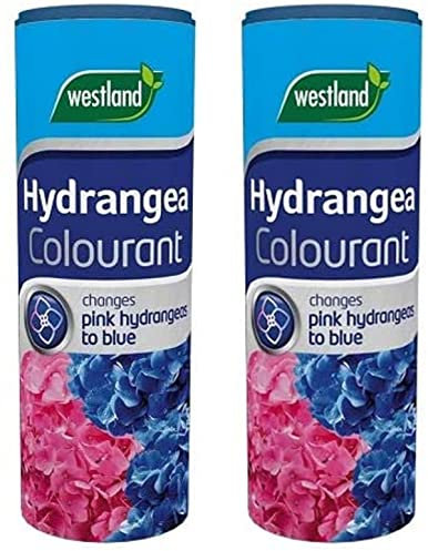 Westland Lot de 2 colorants pour hortensia 500 g