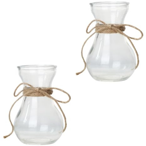 Ciieeo 2st Hyazinthenvase Terrarien-hydrokultur-pflanzgefäß Hydrokultur-pflanzenvase Blumenvase Mit Glasterrarien Für Pflanzen Blumenvasen Für Tafelaufsätze Kleines Glas Tischblumen