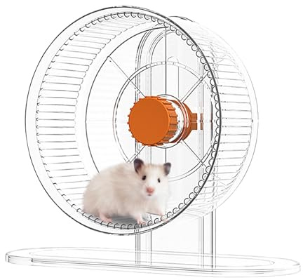 Hamsterhjul transparent hjul tyst scrollhjul hamster spinnhjul för chinchillor marsvin övningsleksaker sportleksaker och tillbehör för guldbjörnar, igelkott och sockerstege