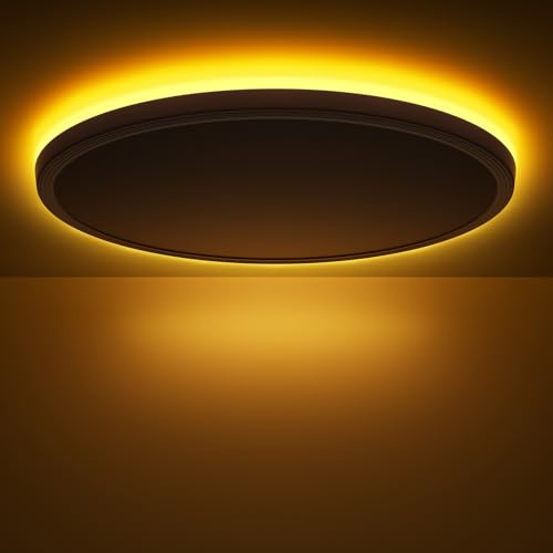Swoieltr Lámpara de Techo LED con Mando a Distancia, Regulable 24W 2800 Lúmenes + Luz Nocturna 6W 1800K, Plafón Plano Redondo (30cm, Blanco) para Dormitorio, Habitación Infantil y Salón
