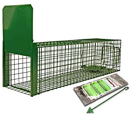 Holtaz Fallen Strong Grün 120x34x42 cm 1 Tür Marderfalle Katzenfalle Fuchsfalle Biberfalle Tierfalle Kastenfalle Drahtfalle Lebendfalle Mit Extra Köder