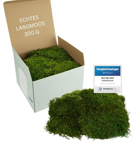 Mia Milano I Foglio di Muschio Conservato Verde Naturale I Muschio Decorativo per Parete, Quadri di Muschio e Artigianato I 300 g
