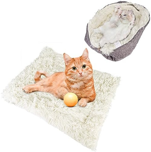 Aicharynic Katzenbett Flauschig, Katzendecke für Katzen, 2 in 1 Katzen Schlafplatz Katzensofa Katzenbett Plüsch Weich für Katze Kleine Hunde, Waschbar Katzenkissen Katze Schlafen Bett (60x50cm)