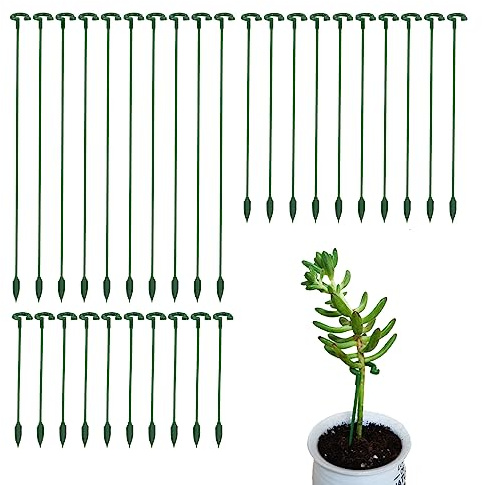 Ruksifg Pack of 30 Small Plant Stakes for Indoor Plants 3 Size 6.7/10.7/14.6/ Inches Single Stem Plant Support Stakes for Phalaenopsis/Orchid Flower/Roses/Chrysanthemum/Succulent