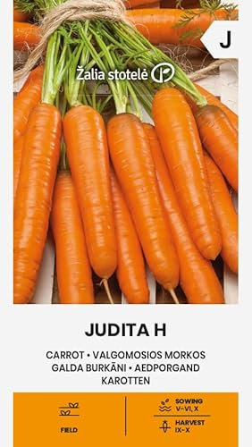 Zalia stotele | Carottes JUDITA H des Graines | Graines de Légumes | Graines de Plantes | Graines de Jardin |Un hybride mi-tardif, à haut rendement et résistant à l'alternariose | 1 Paquet