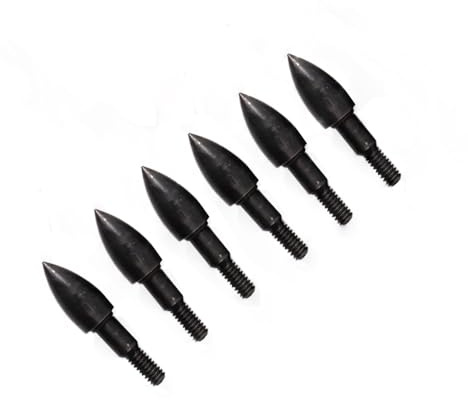 PHILOCS 24 Piezas Field Bala Tiro con Arco Puntas de Flecha 100 125 150 200 250 300 350 Grains Broadhead Screw Thread Punta de Flecha para OD 7.5mm Eje de Flecha (100grain Black 24pc)