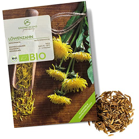 BIO Graines de pissenlit - Graines d'herbes aromatiques pour faire pousser de culture biologique idéal pour le jardin aromatique