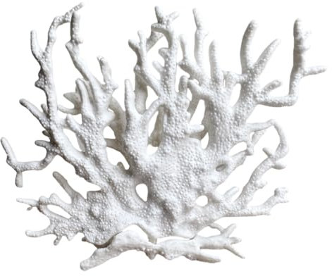 Cadzyre Holz Aquarium-deko Gefälschte Koralle, Garnelen Aquarium & Aquarienpflanze Echt, Geeignet für kleine bis mittlere Aquarien (weiß)